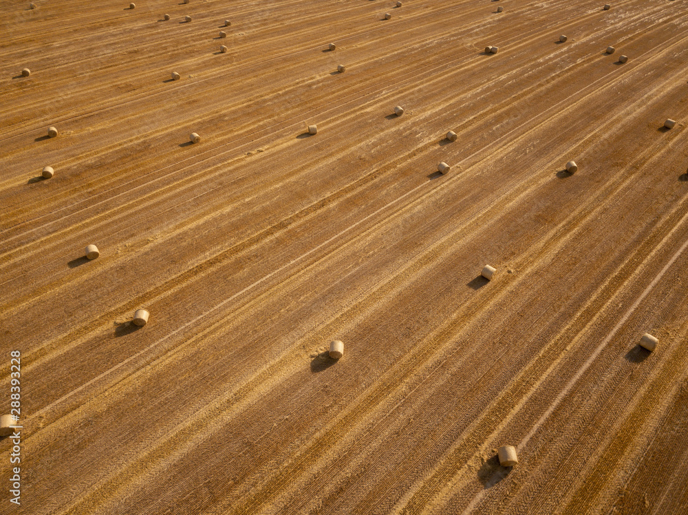Round dried haystacks in the field Round dried haystacks in the field
