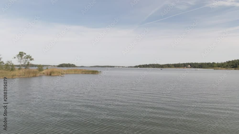 Reed and lake during summer. Both sails in river. Wild nature. Bushes near the water in pond. Reed and lake during summer. Both sails in river. Wild nature. Bushes near the water in pond.