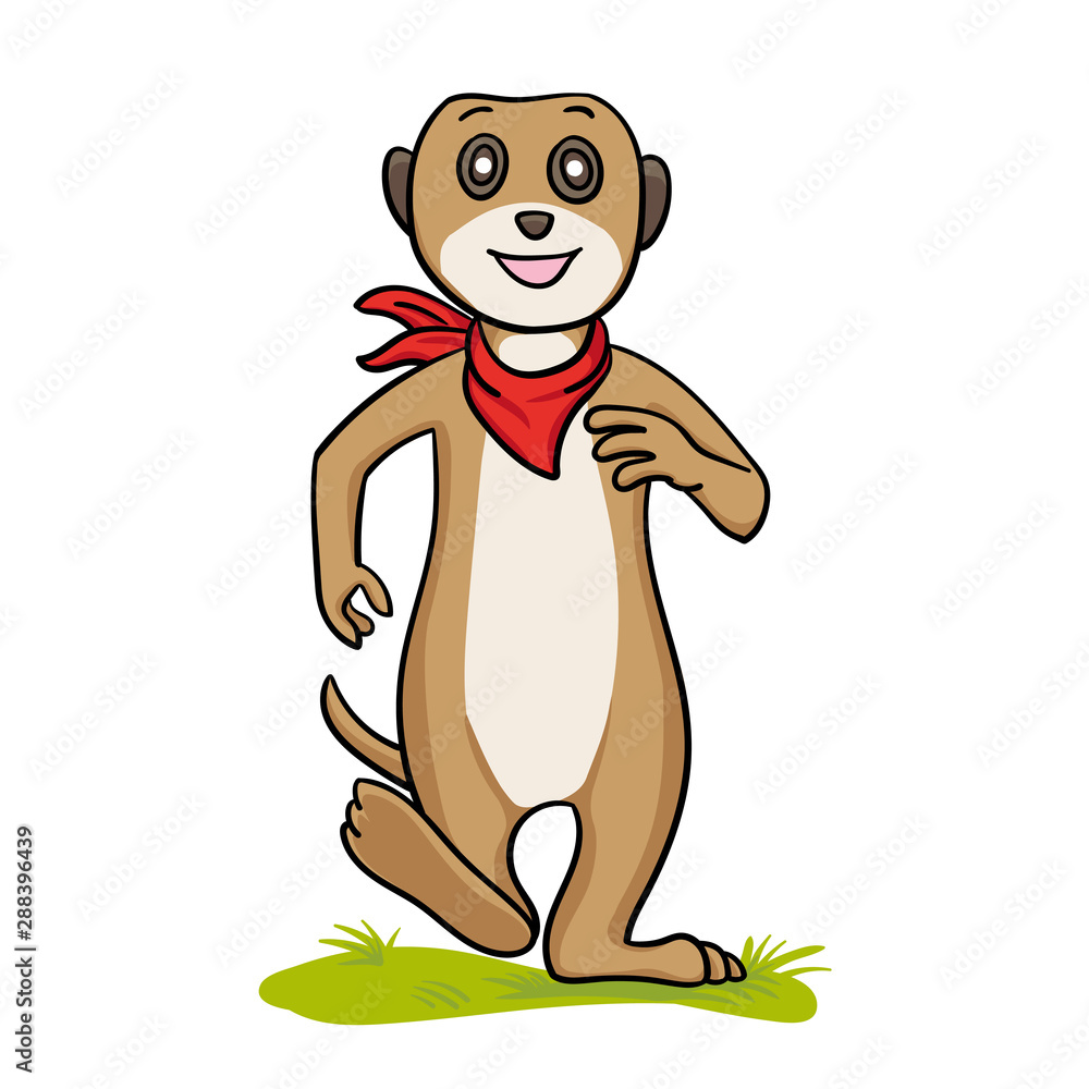 Fototapeta premium erdmännchen