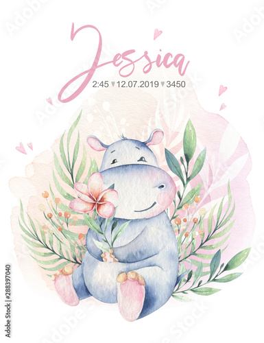 Photography Hand drawn cute isolated tropical summer watercolor hippo animals