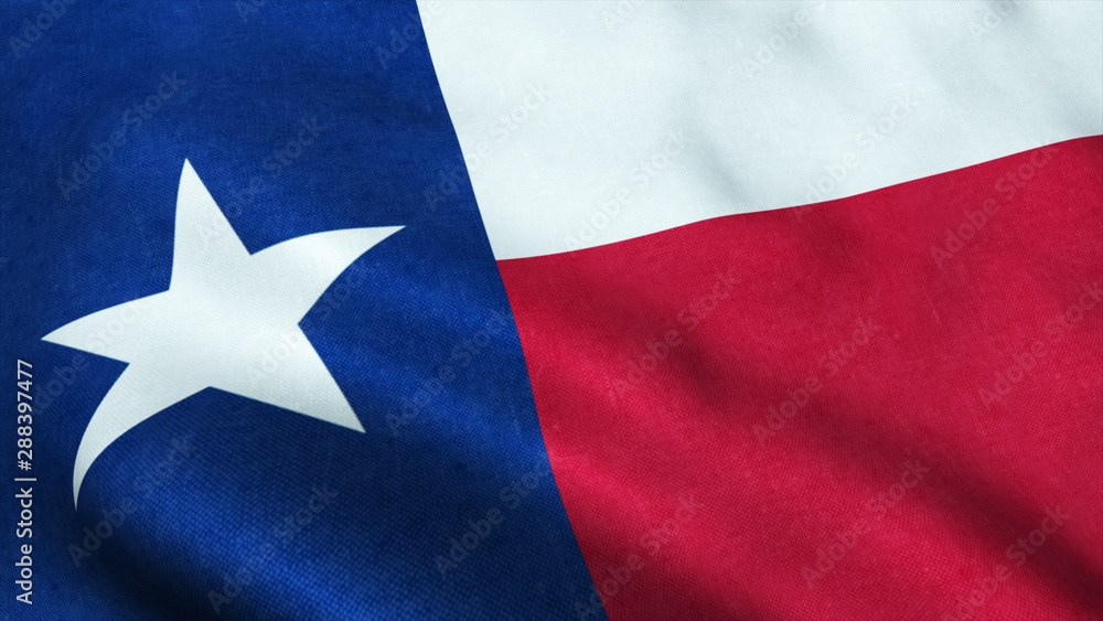 Flag texas waving USA symbol