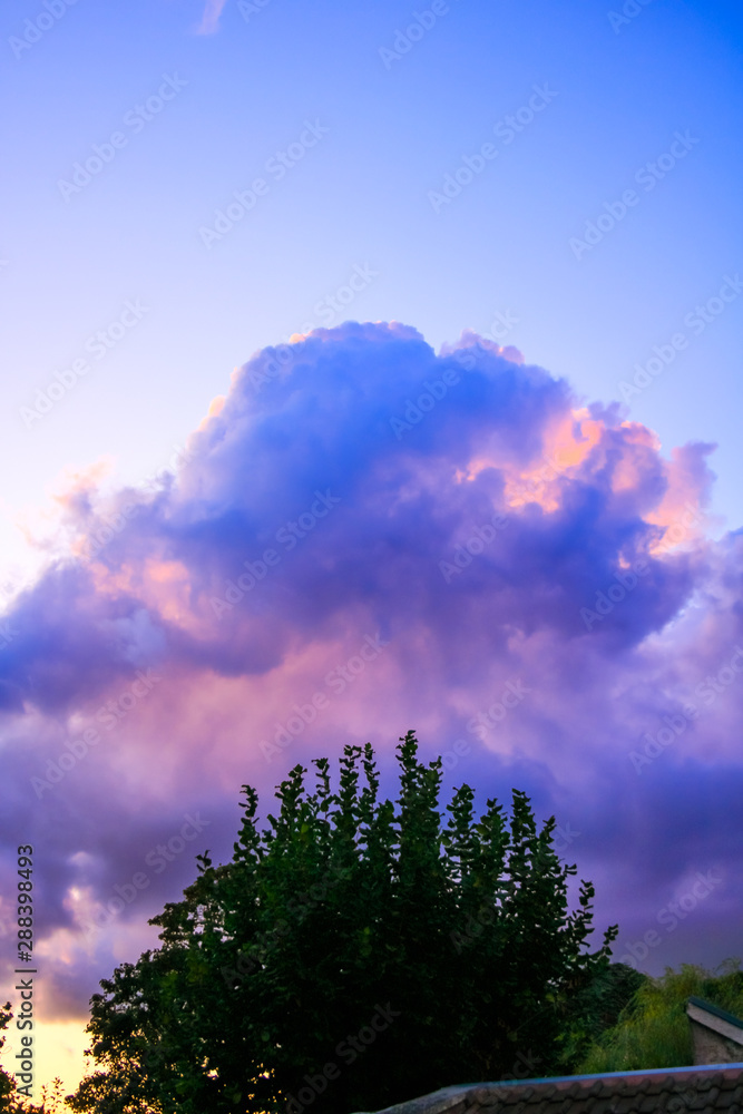 beautiful pink and white cumulonimbus in a blue sky with vegetations in foreground