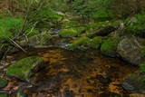 Skrivan creek in Krusne mountains in summer nice sunny day