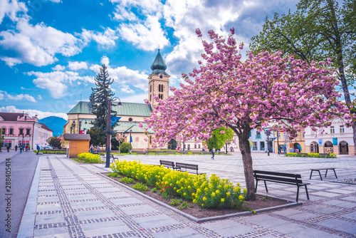 View in sunny day with blossoming tree . buildings in the city center of Liptovsky Mikulas. town in northern Slovakia, in the historical Liptov region. Catolic church photo