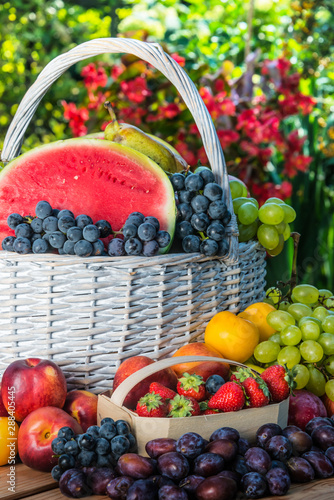 Variety of fresh ripe fruits in the garden.