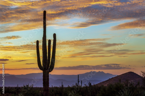 Arizona Desert Sunrise With Cactus & Purple Mountains