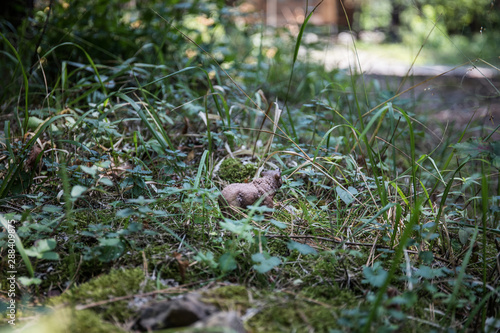 Brown bear walking in forest. Mini bear figure (or toy bear) at the park.