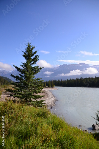 Athabasca River in the Morning