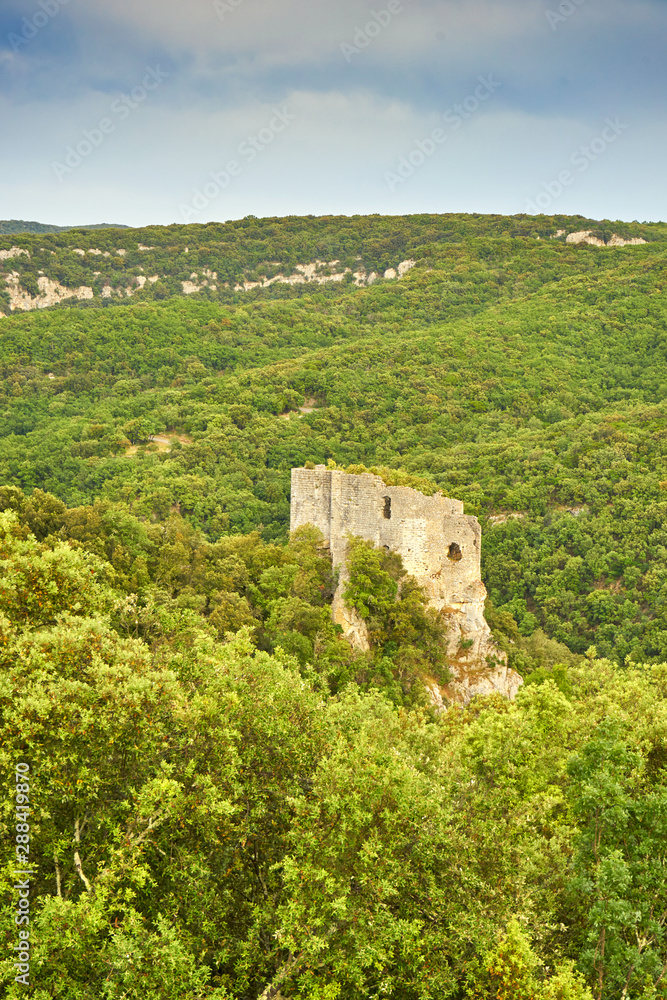 Château de Fereyrolles At Saint Privat de Champlos Occitanie France