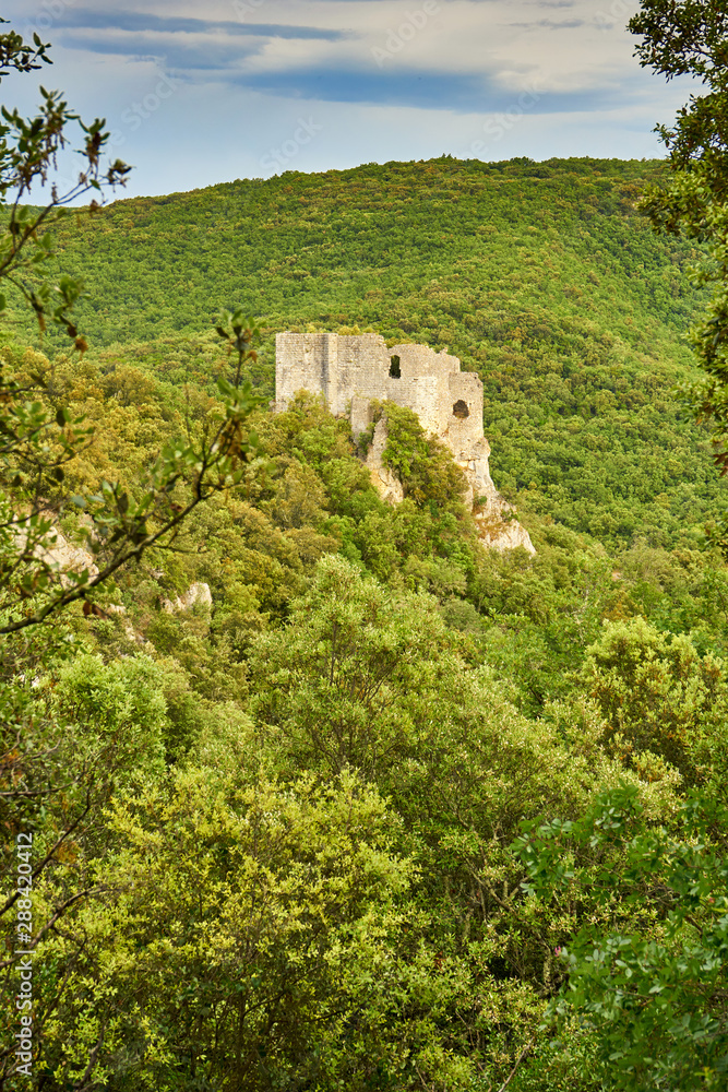 Château de Fereyrolles At Saint Privat de Champlos Occitanie France