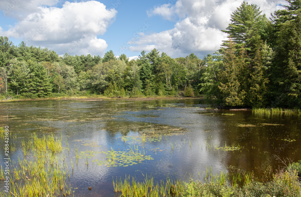 Fototapeta premium Cloud formations and blue and green reflections on lake of bays Ontario