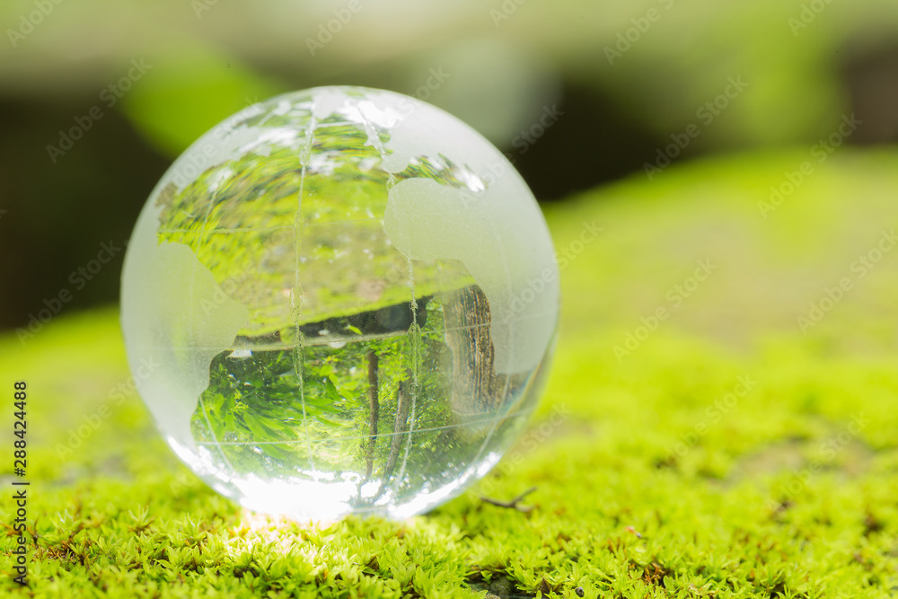 Close up of glass globe in the forest. Close up of glass globe in the forest.