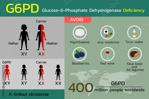 G6PD,Glucose-6-Phosphate Dehydrogenase Deficiency,vector