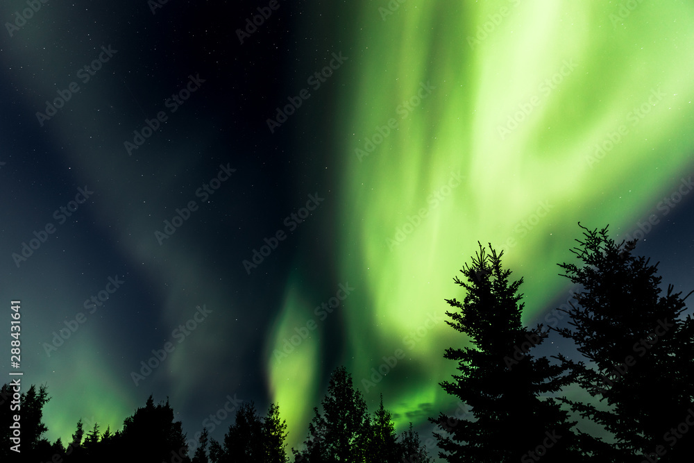 Amazing Northern Lights Display at the onset of Fall just outside Fairbanks, Alaska