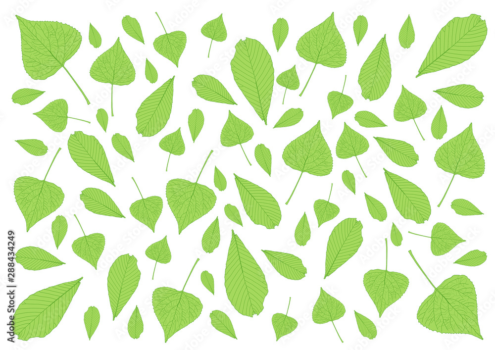 Leaves green pattern on white background illustration Leaves green pattern on white background illustration