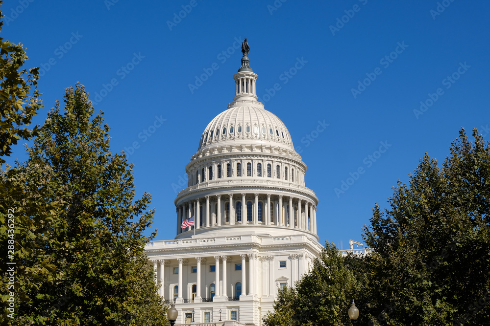Fototapeta premium Capital Hill Building closeup with blue sky in Washington D.C.,USA