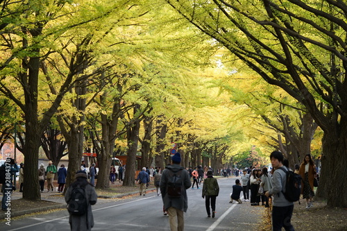 北海道学の秋・紅葉