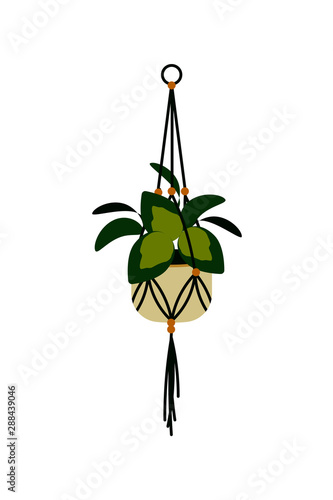 Vector illustration of a hanged potted plant isolated on white. Home plant in a cache-pot. Interior design element.