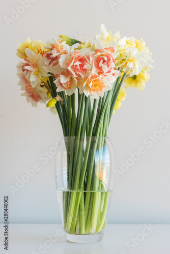 Vertical view of yellow and orange daffodils with green stems in glass vase on white table against neutral wall background (selective focus)