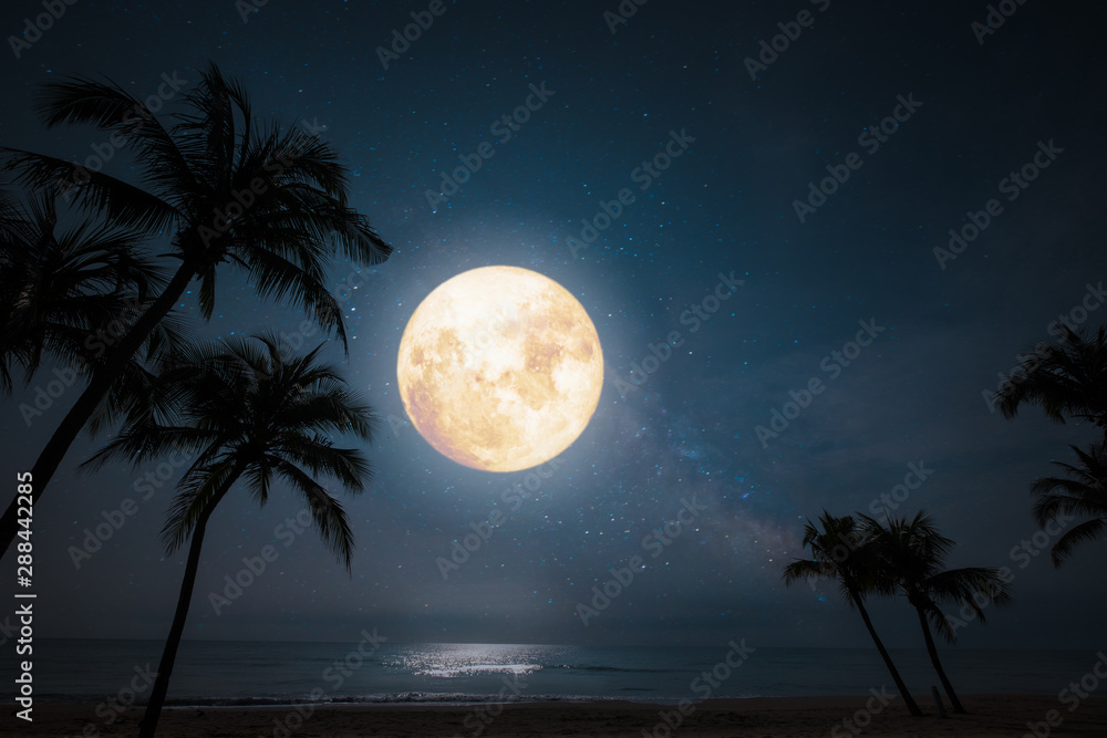 Romantic night scene - beautiful fantasy tropical beach with star and