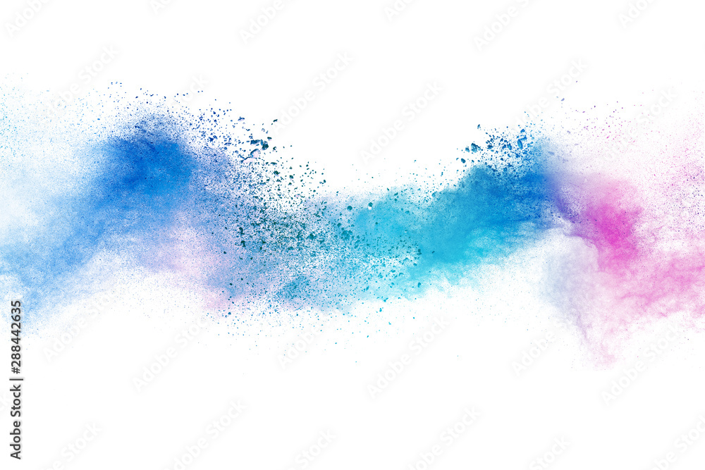 Freeze motion of colorful color powder exploding on white background.  Paint Holi.