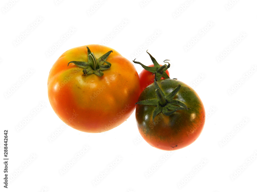 tomato isolated on white background tomato isolated on white background