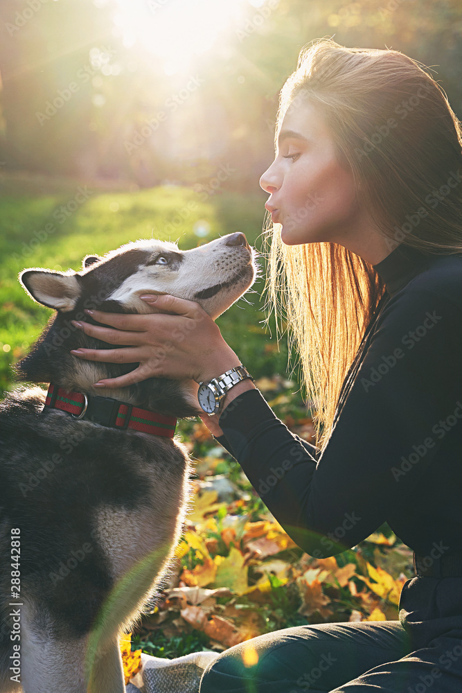 Young beautiful girl playing with her cute husky dog pet in autumn park covered with red and yellow fallen leaves