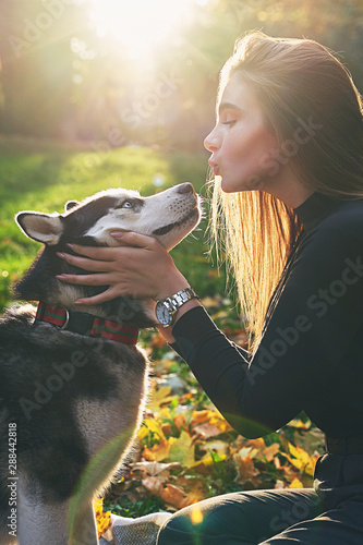 Obraz na płótnie Young beautiful girl playing with her cute husky dog pet in autumn park covered with red and yellow fallen leaves w salonie
