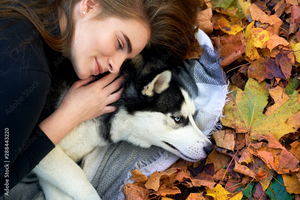 Young beautiful girl playing with her cute husky dog pet in autumn park covered with red and yellow fallen leaves