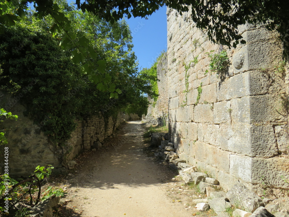 Ruins of Dvigrad croatia
