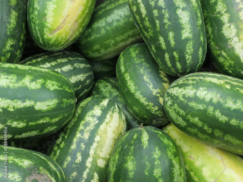 huge stack of green striped water melons