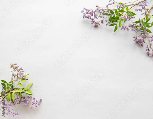 Dried flowers on a white background
