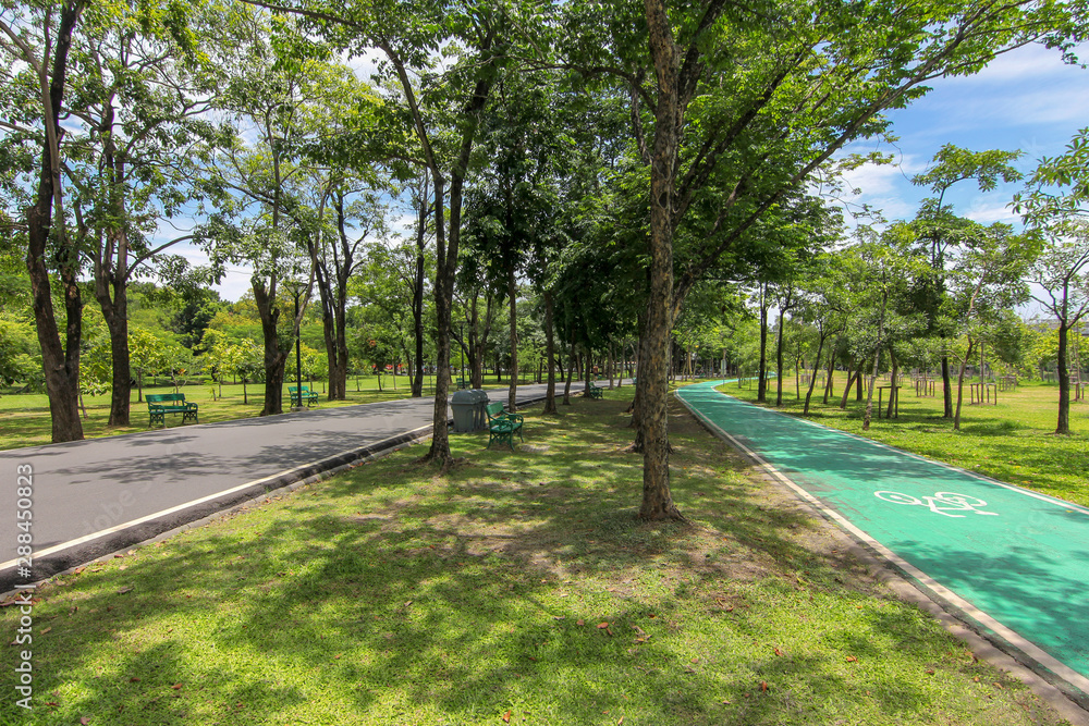 The path in the garden that is paired with the bicycle path. The path in the garden that is paired with the bicycle path.
