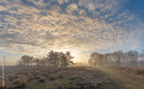 Clouded Landscape photo