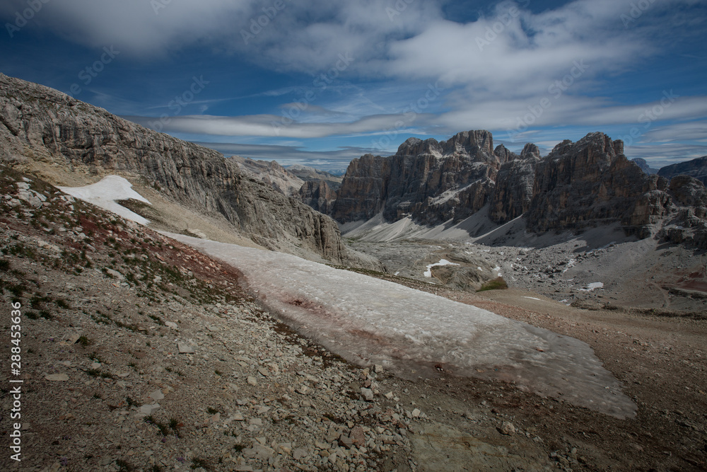 landscape forest in trentino with dolomiti mountain