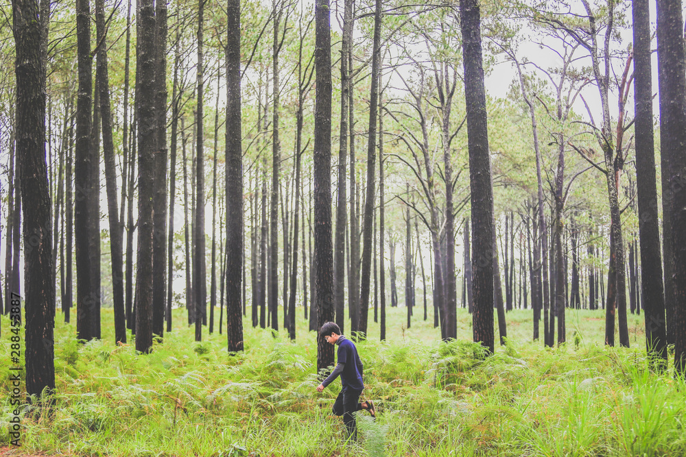 man walking in the deep pine forest with large backpack.