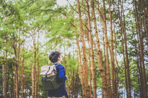 man walking in the deep pine forest with large backpack.