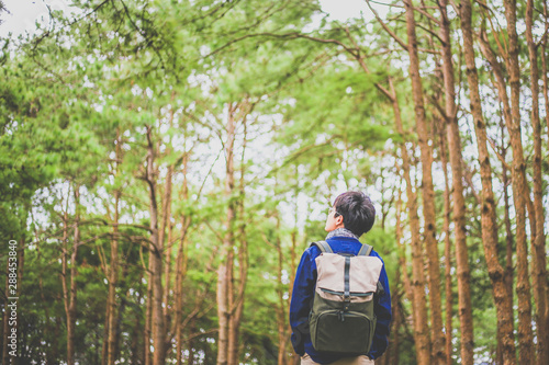 man walking in the deep pine forest with large backpack.
