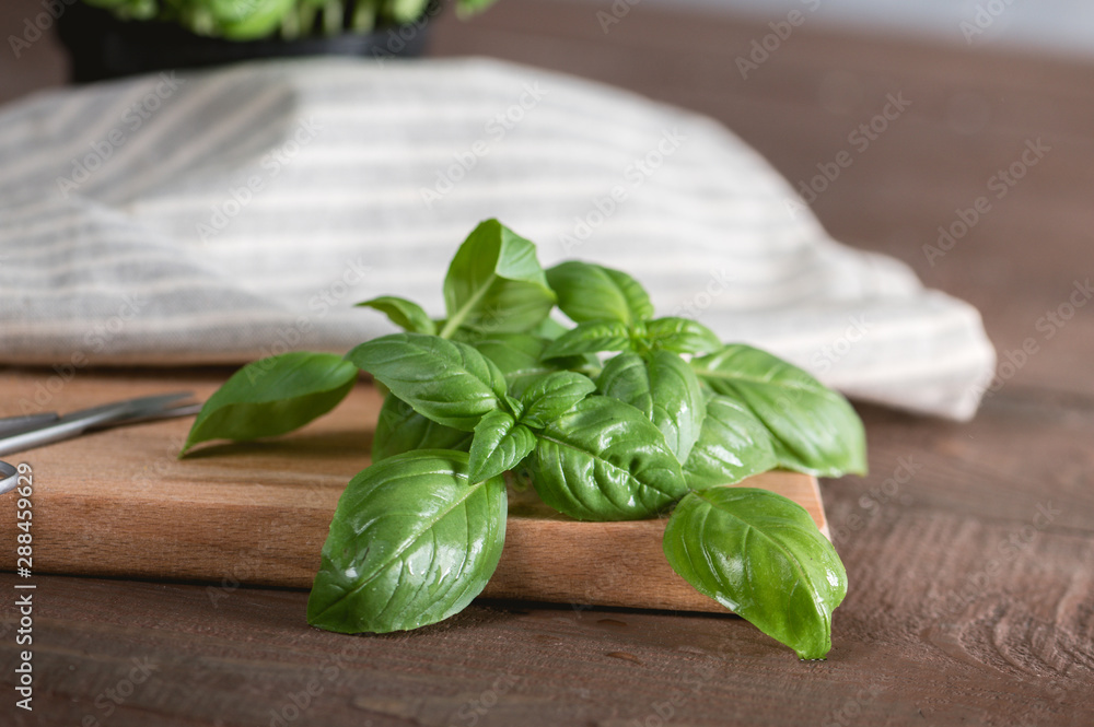 Green fresh basil on wooden background Green fresh basil on wooden background