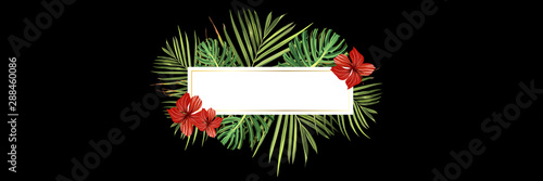 Tropical forest. Jungle background flower and palm. Vector floral illustration. Green tropical forest banner