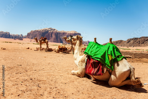 View of Wadi Rum in Jordan