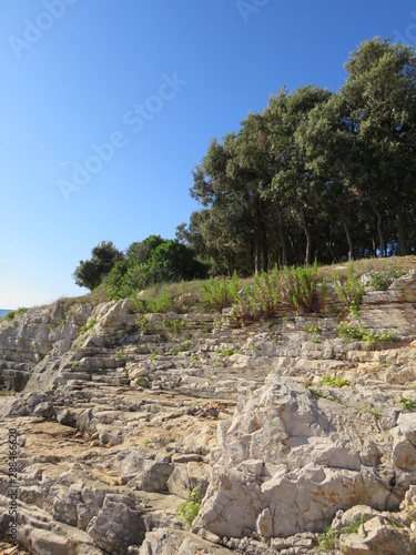 Принти на полотні stairs to the sky Coast in istra croatia