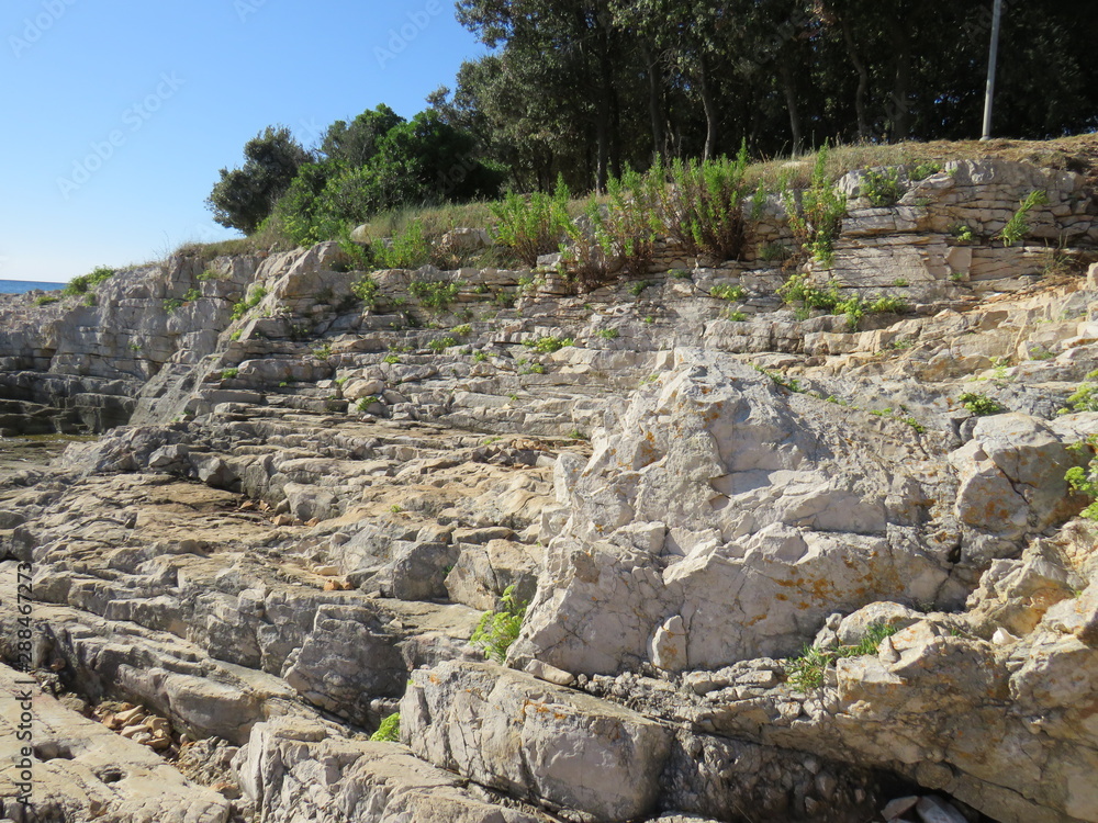 Steine Felsen an der Küste Istriens Kroatien