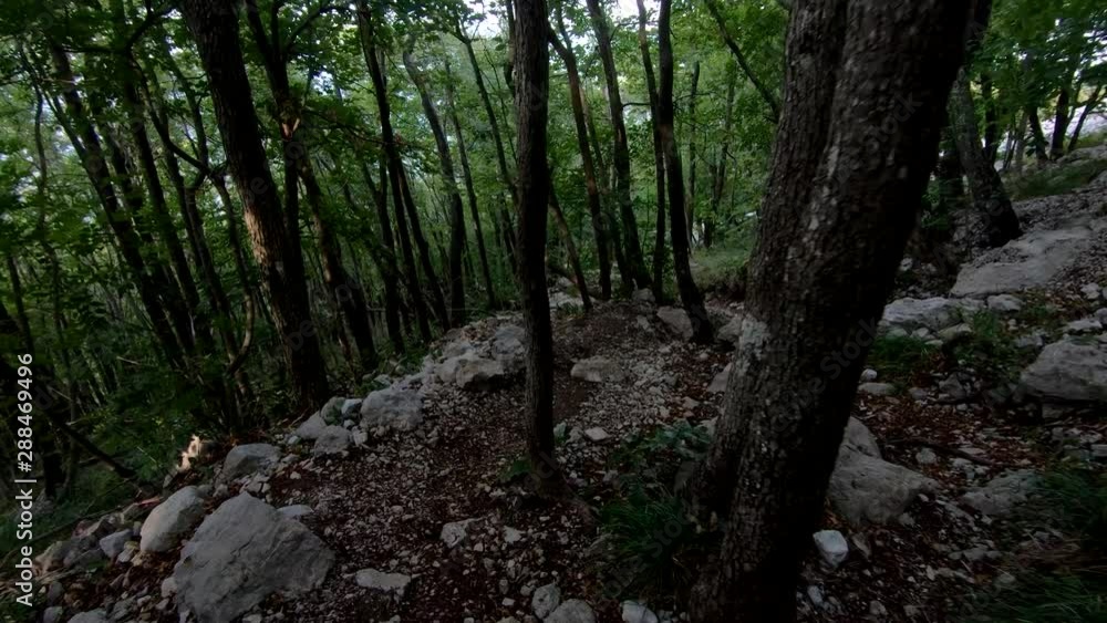 Hiking downhill through forest rocky path from Nanos Slovenia mountain Hiking downhill through forest rocky path from Nanos Slovenia mountain