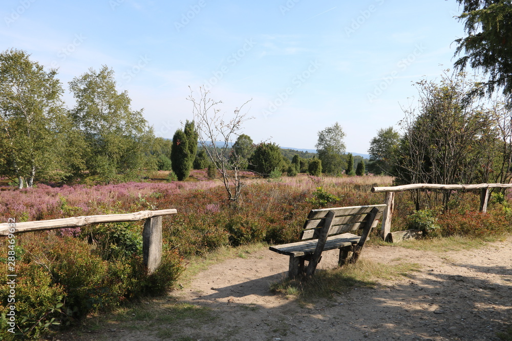 Fototapeta premium Bank am Wanderweg mit Blick in die Lüneburger Heide