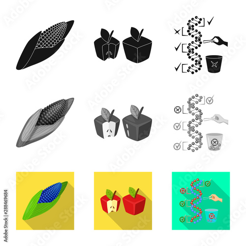 Vector illustration of test and synthetic icon. Set of test and laboratory stock symbol for web.
