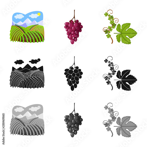 Vector illustration of farm and vineyard sign. Collection of farm and product stock symbol for web.