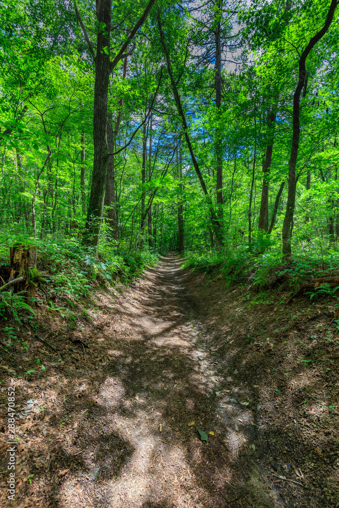 Summer Karuizawa - a well-organized mountain trail