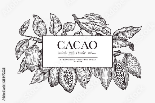 Cocoa banner template. Chocolate cocoa beans background. Vector hand drawn illustration. Vintage style illustration.