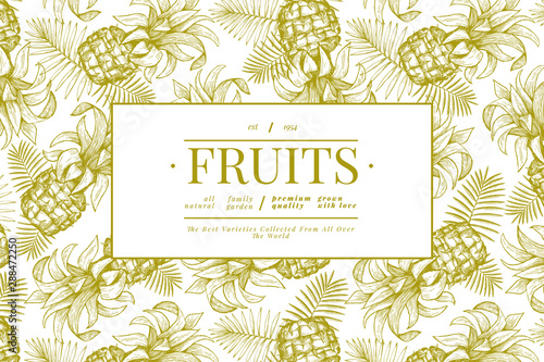 Pineapples and tropical leaves design template. Hand drawn vector tropical fruit illustration. Engraved style ananas fruit banner. Retro botanical frame.
